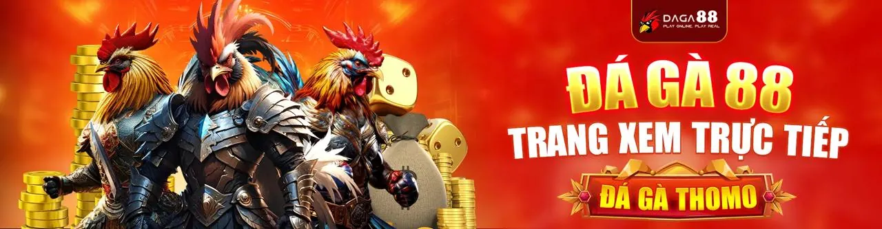 Đá Gà Trực Tiếp zz88